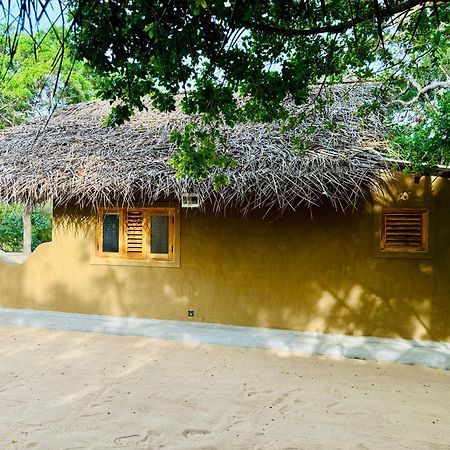 Peanut Farm Surf And Wild Resort - Arugambay 아루감 베이 외부 사진