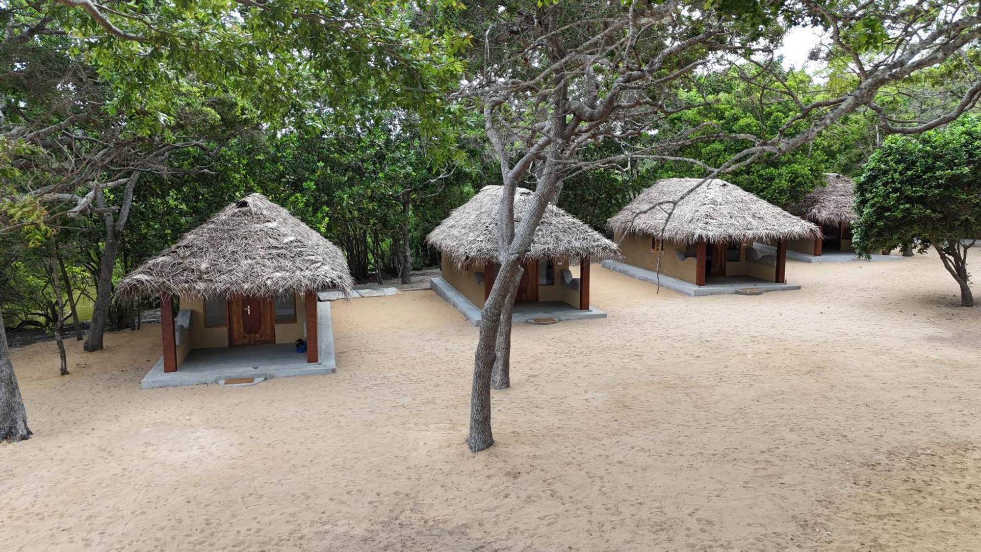 Peanut Farm Surf And Wild Resort - Arugambay 아루감 베이 외부 사진