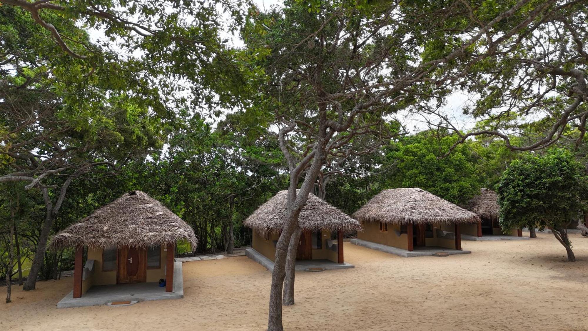 Peanut Farm Surf And Wild Resort - Arugambay 아루감 베이 외부 사진