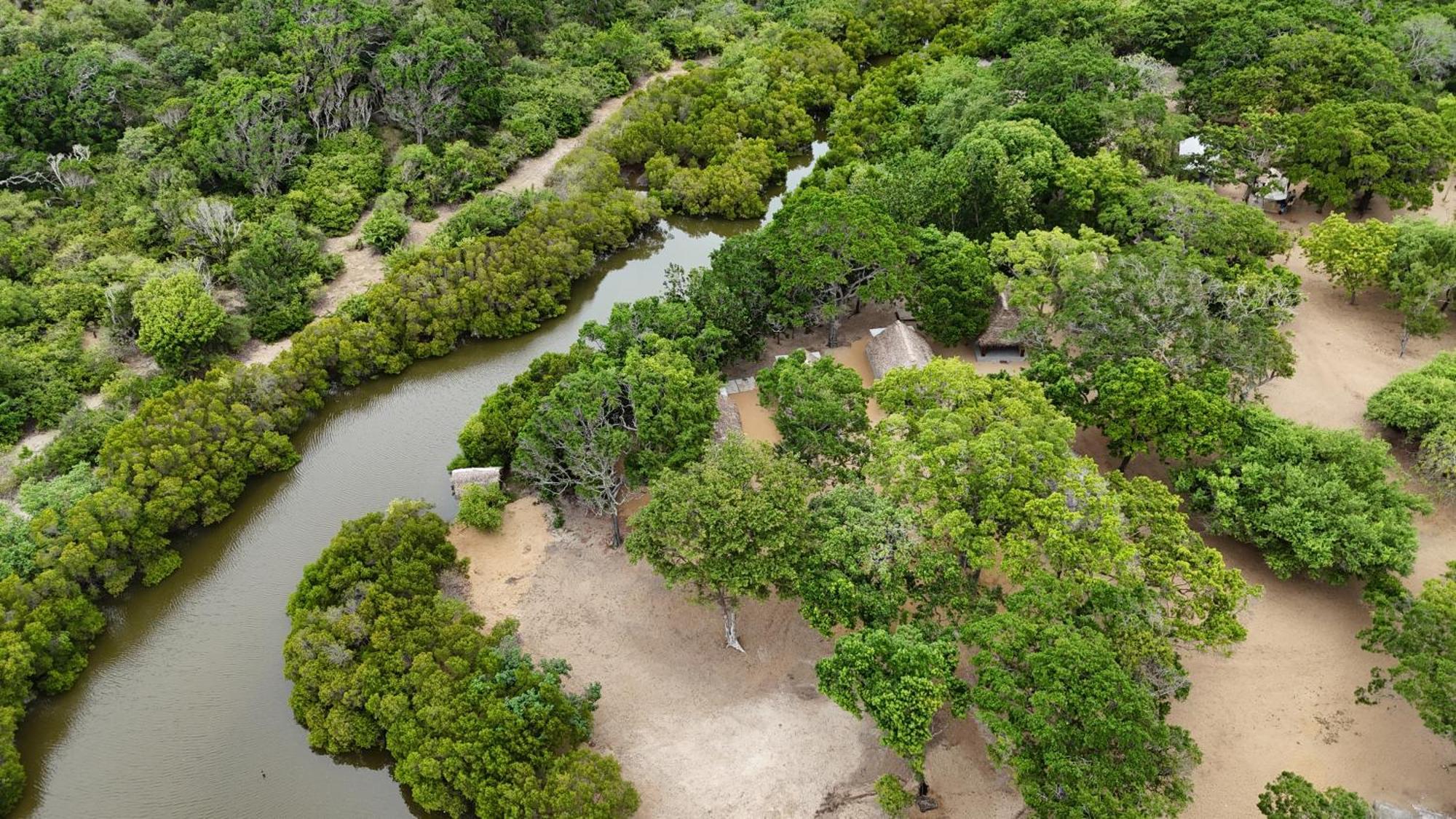 Peanut Farm Surf And Wild Resort - Arugambay 아루감 베이 외부 사진