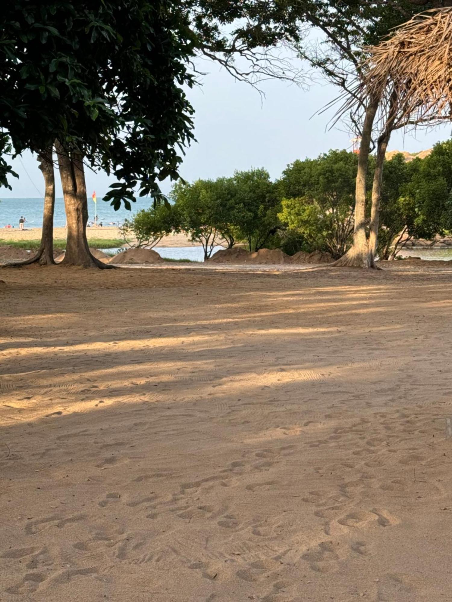 Peanut Farm Surf And Wild Resort - Arugambay 아루감 베이 외부 사진