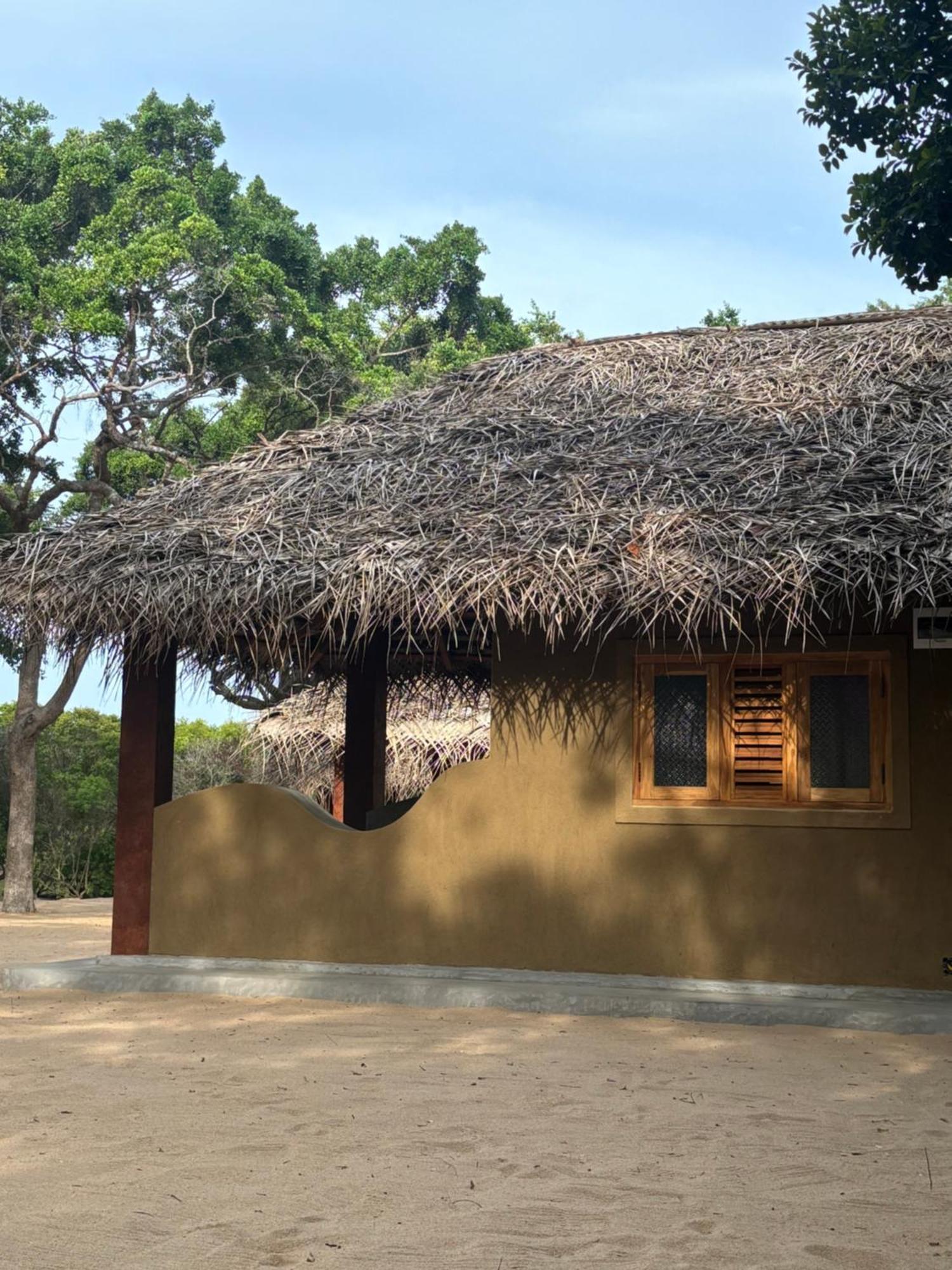 Peanut Farm Surf And Wild Resort - Arugambay 아루감 베이 외부 사진