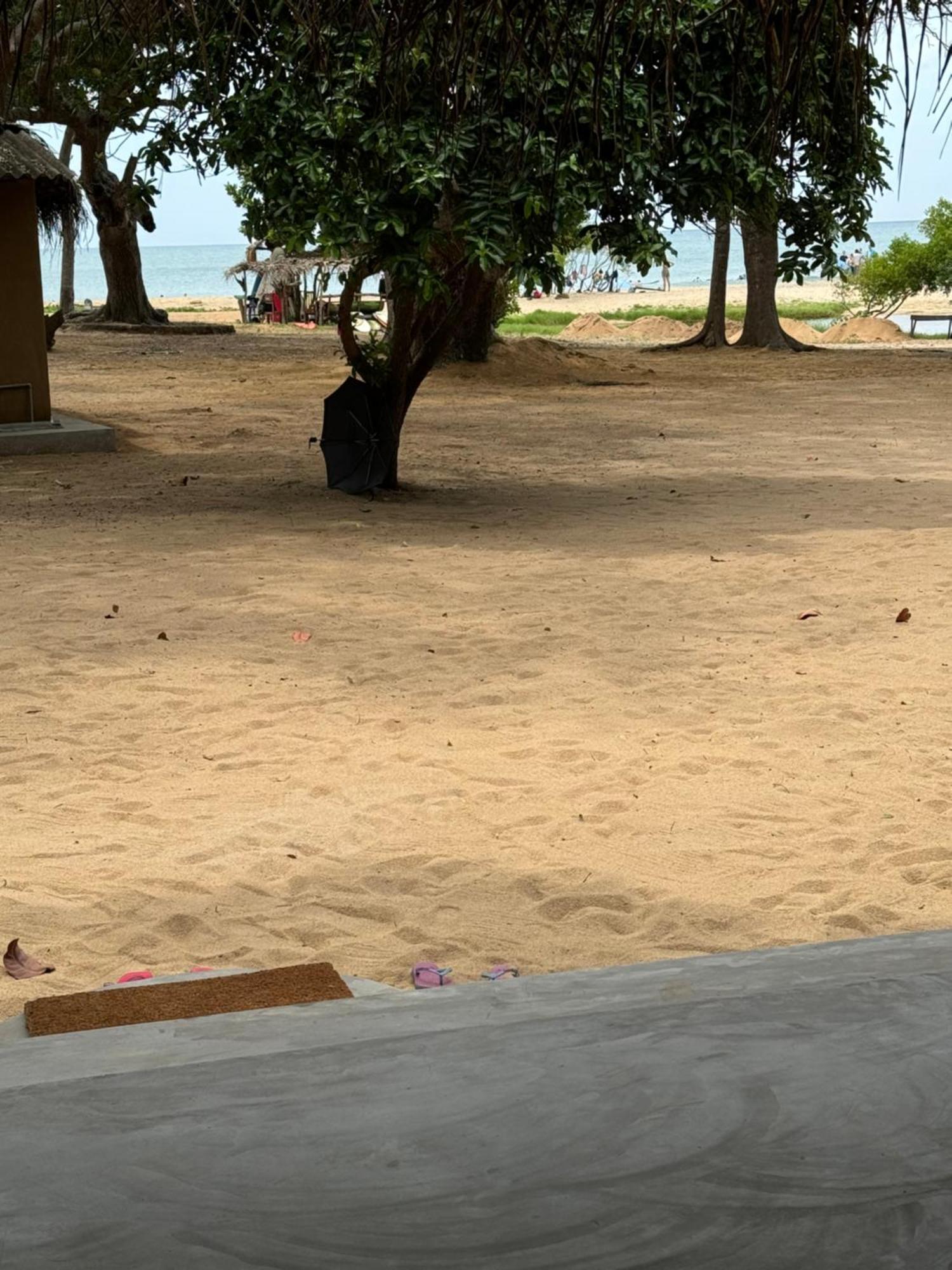 Peanut Farm Surf And Wild Resort - Arugambay 아루감 베이 외부 사진