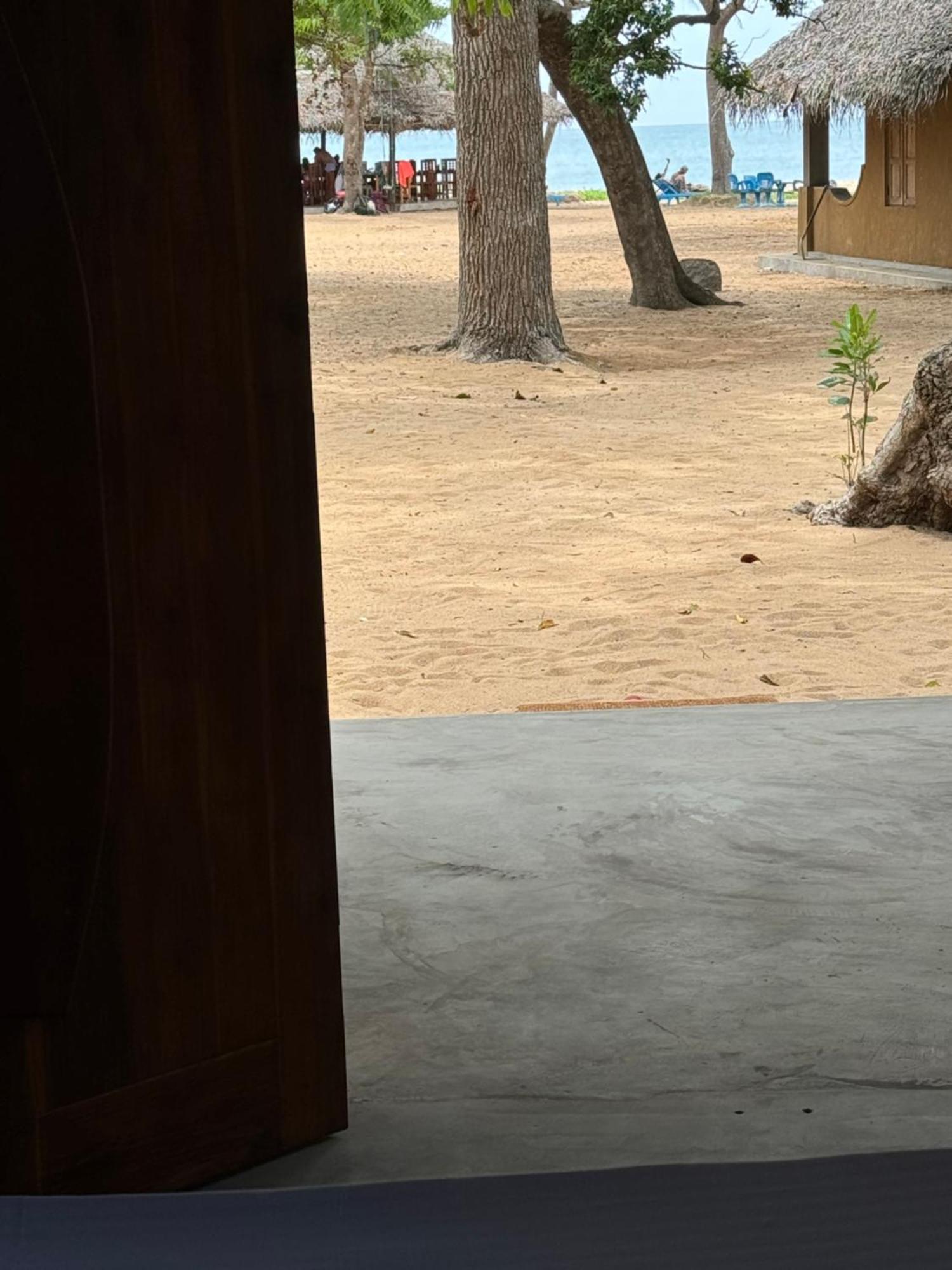Peanut Farm Surf And Wild Resort - Arugambay 아루감 베이 외부 사진