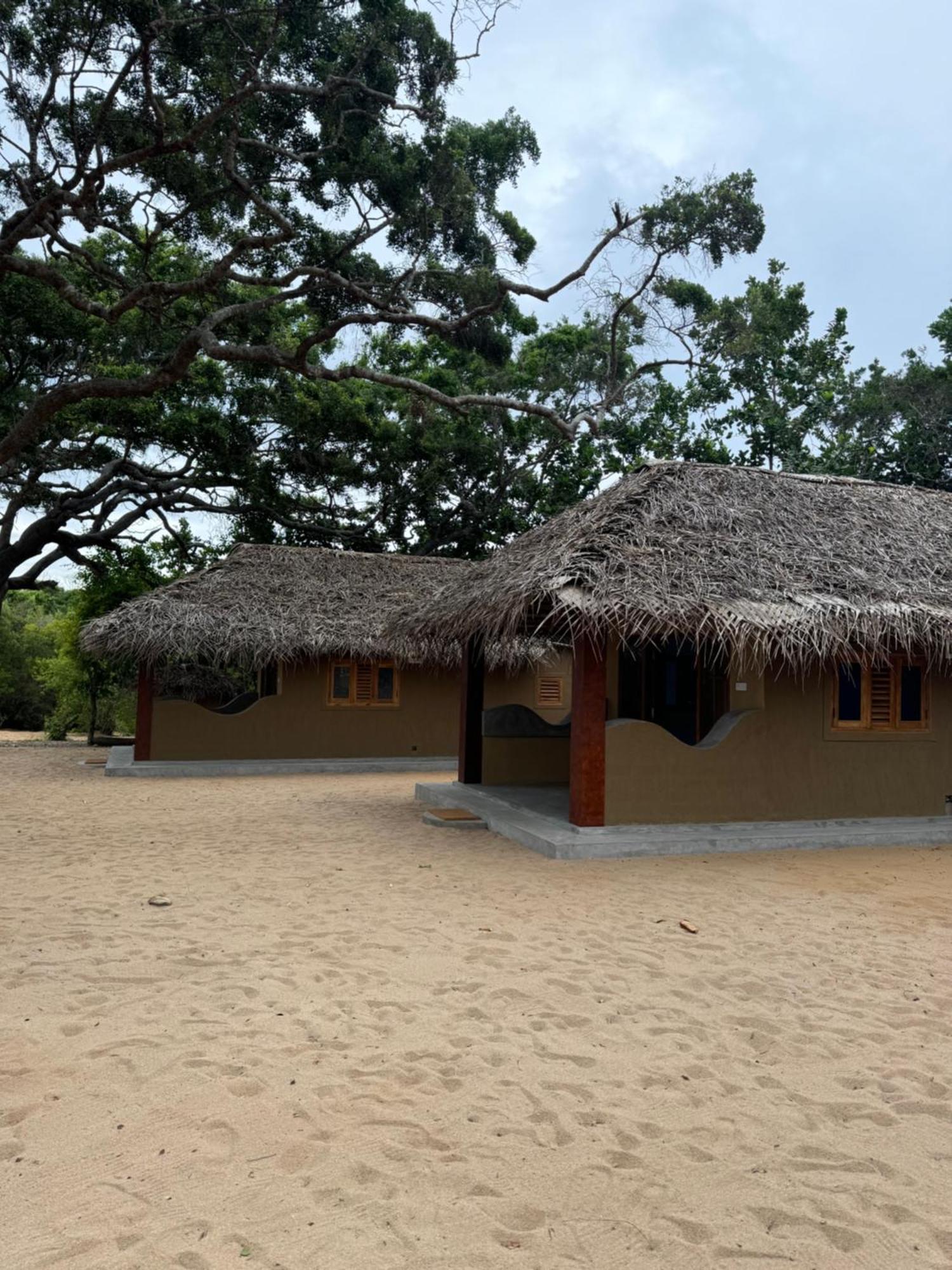 Peanut Farm Surf And Wild Resort - Arugambay 아루감 베이 외부 사진